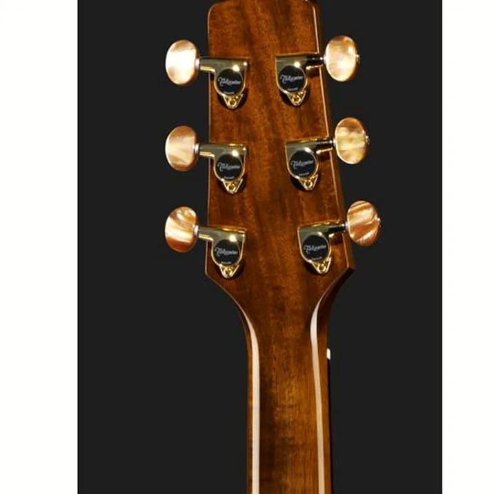 Takamine Tsf48C