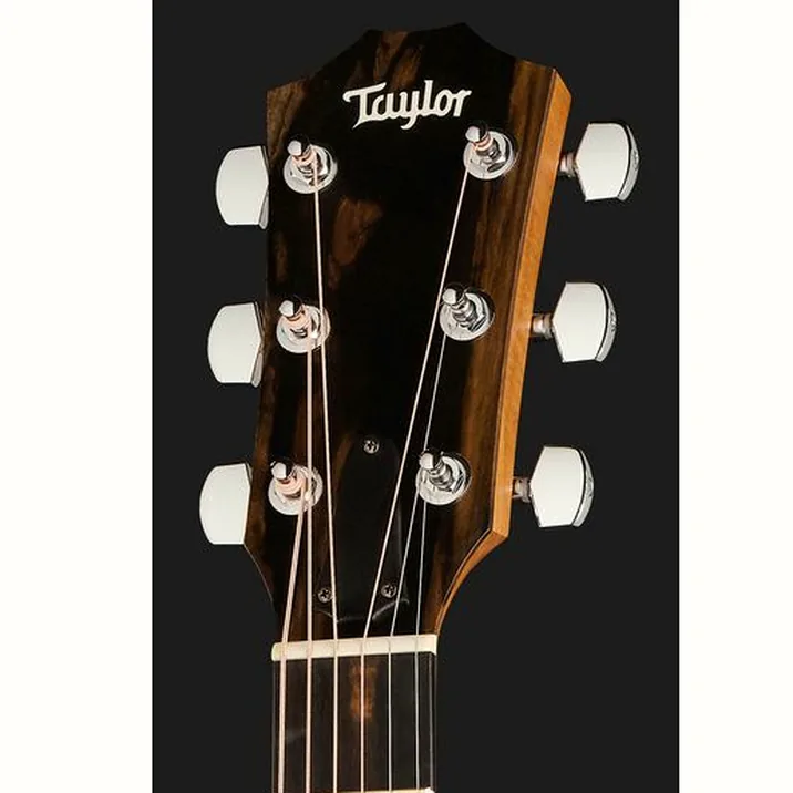 Taylor 117e Grand Pacific