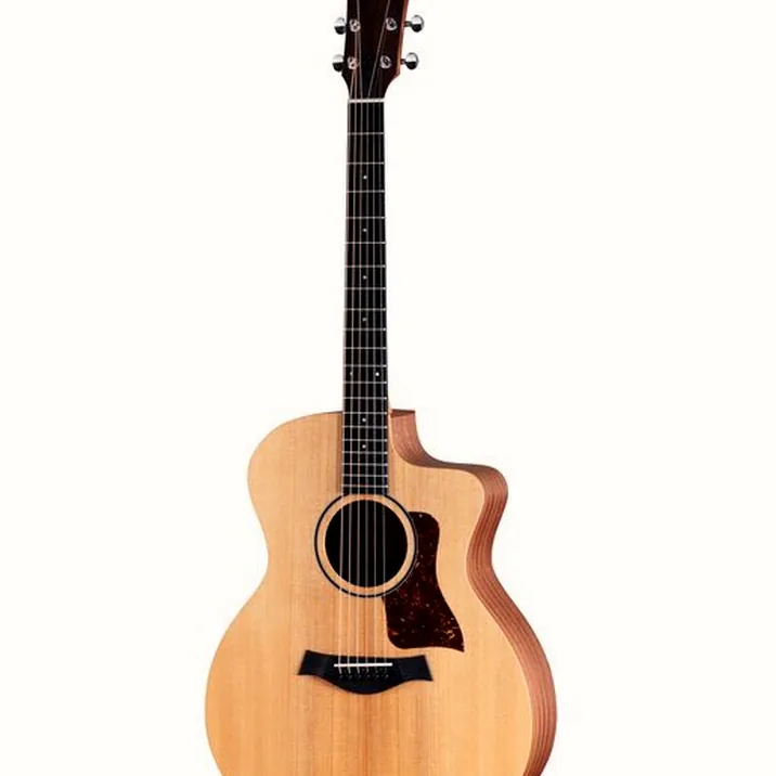 Taylor 14ce