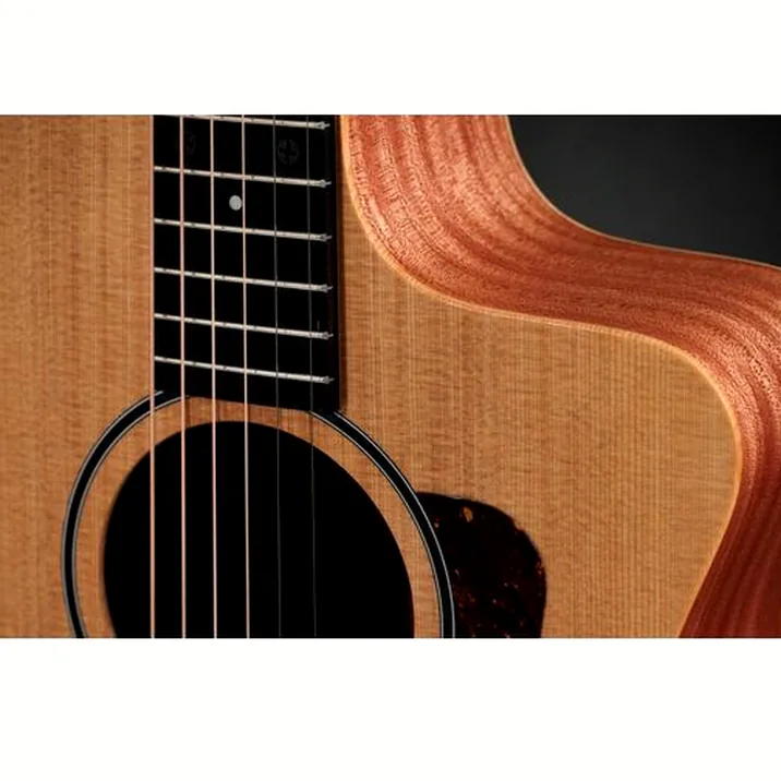 Taylor 14ce