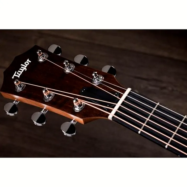 Taylor 14ce