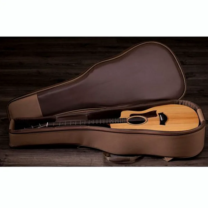 Taylor 14ce