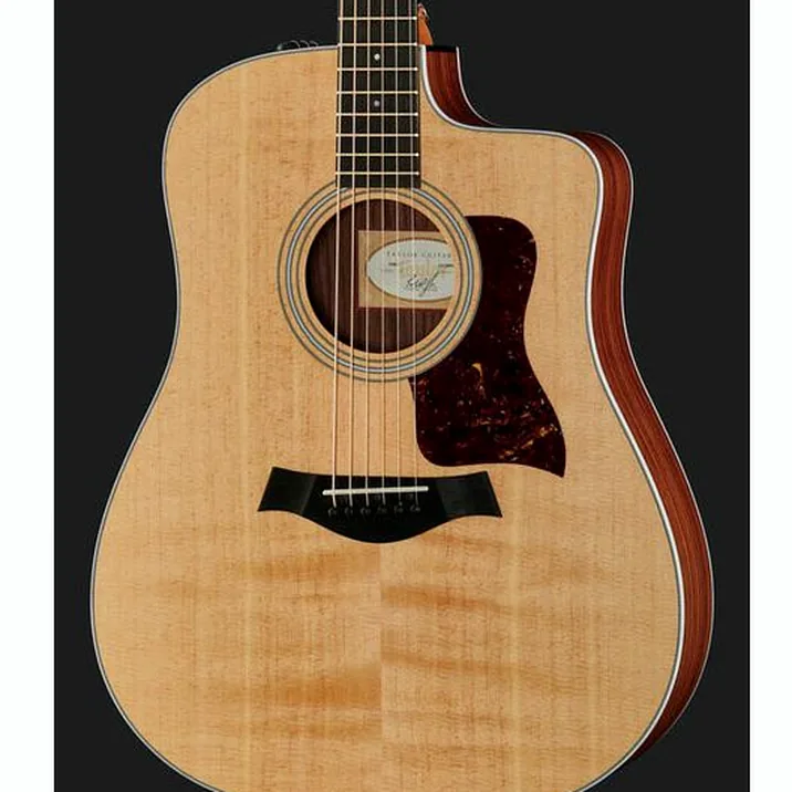 Taylor 210Ce 483302