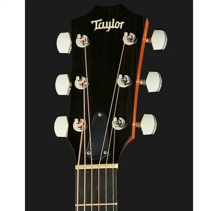 Taylor 210Ce 483302