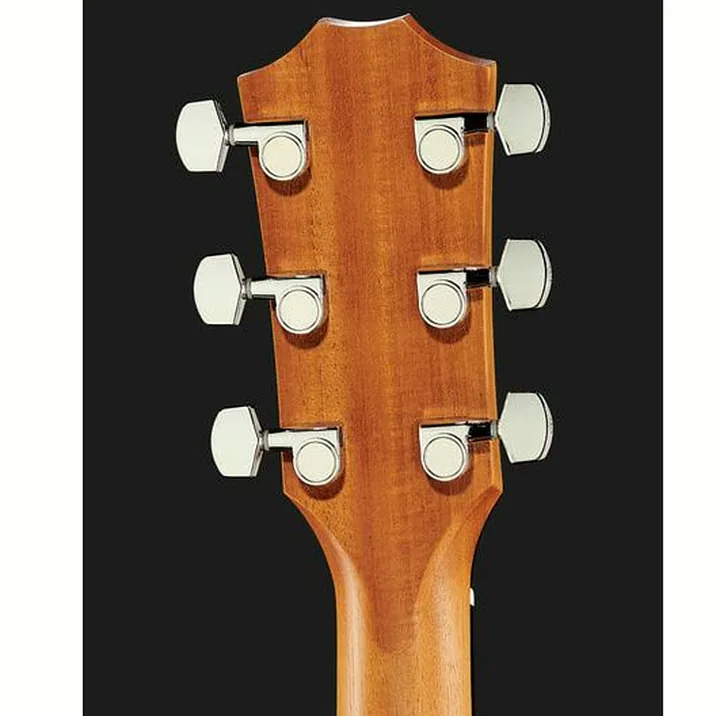 Taylor 210Ce 483302
