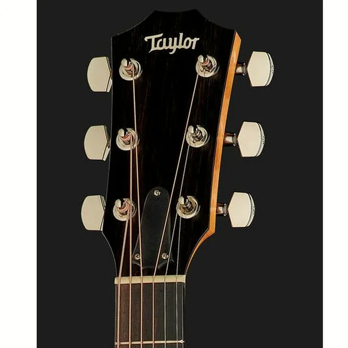 Taylor 210Ce Plus