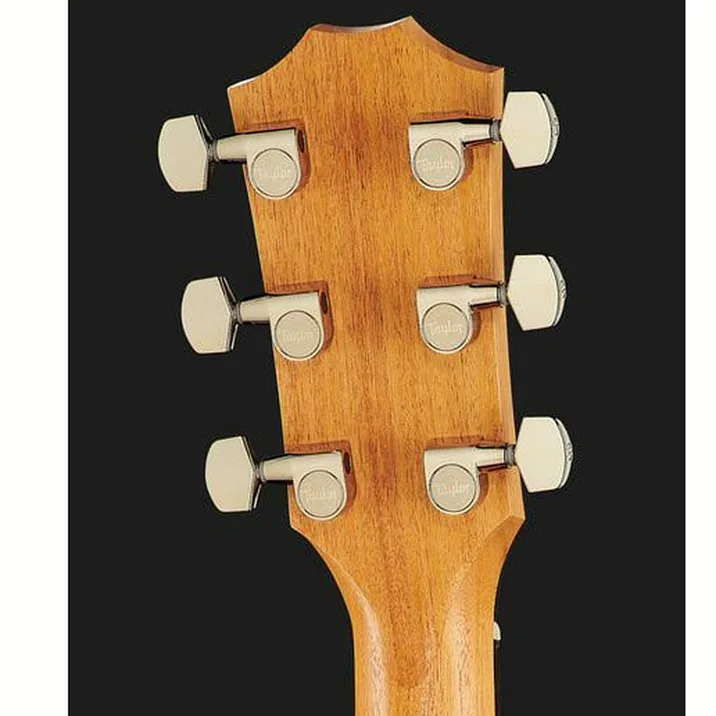 Taylor 210Ce Plus