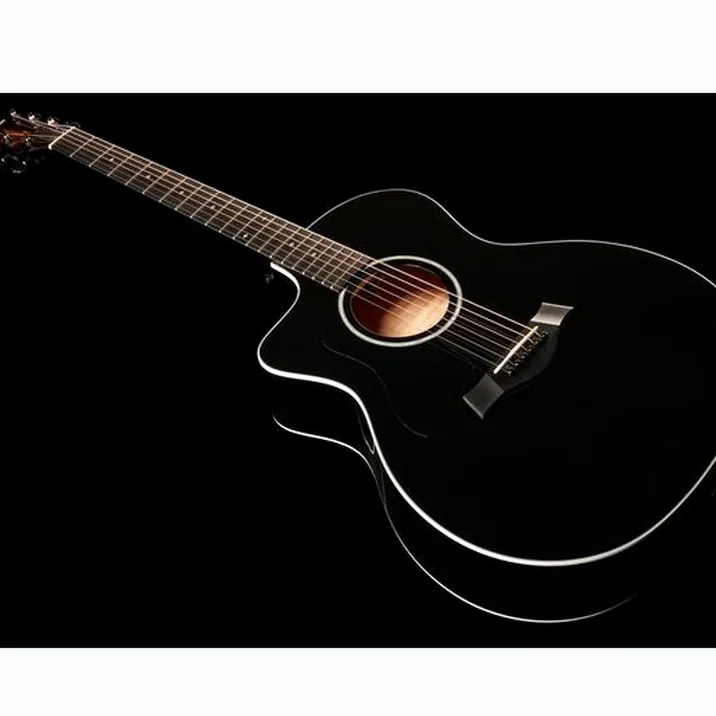 Taylor 214Ce Blk Dlx Lh