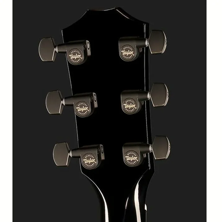 Taylor 214Ce Blk Dlx Lh