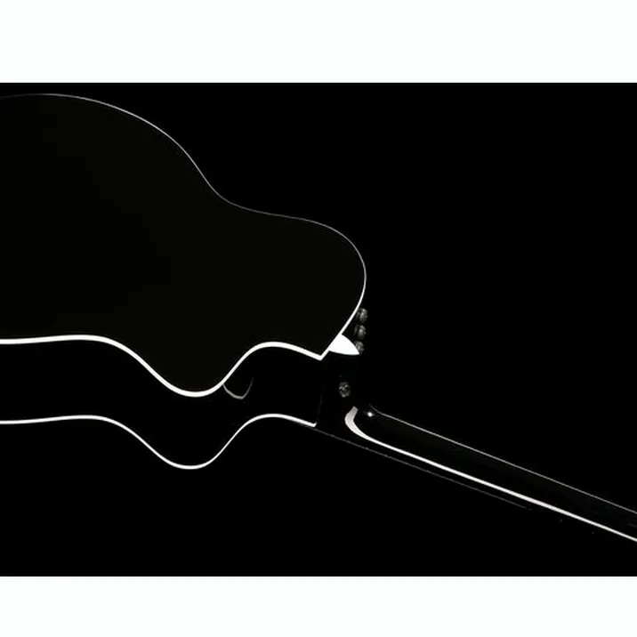 Taylor 214Ce Blk Dlx Lh