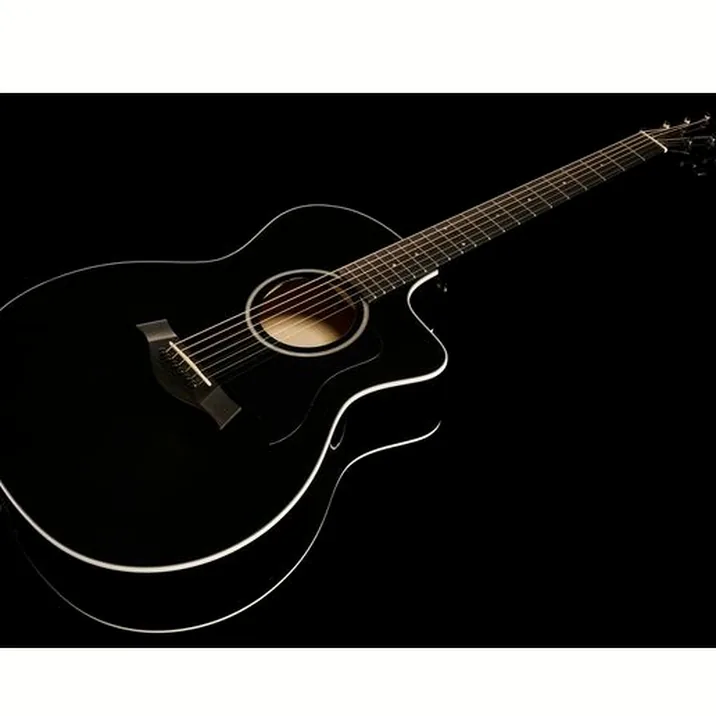 Taylor 214ce-BLK Plus