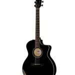 Análisis acústico de la Taylor 214ce-BLK Plus : ¿Suena tan bien?