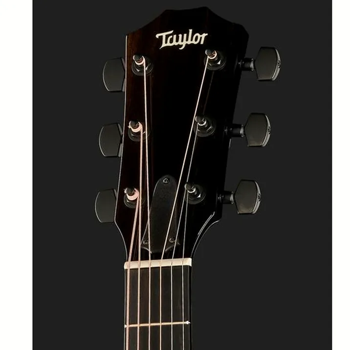 Taylor 214ce-BLK Plus