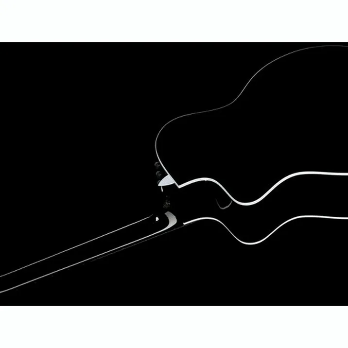 Taylor 214ce-BLK Plus
