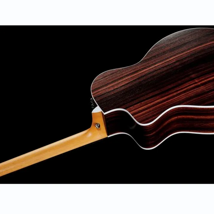 Taylor 214Ce N