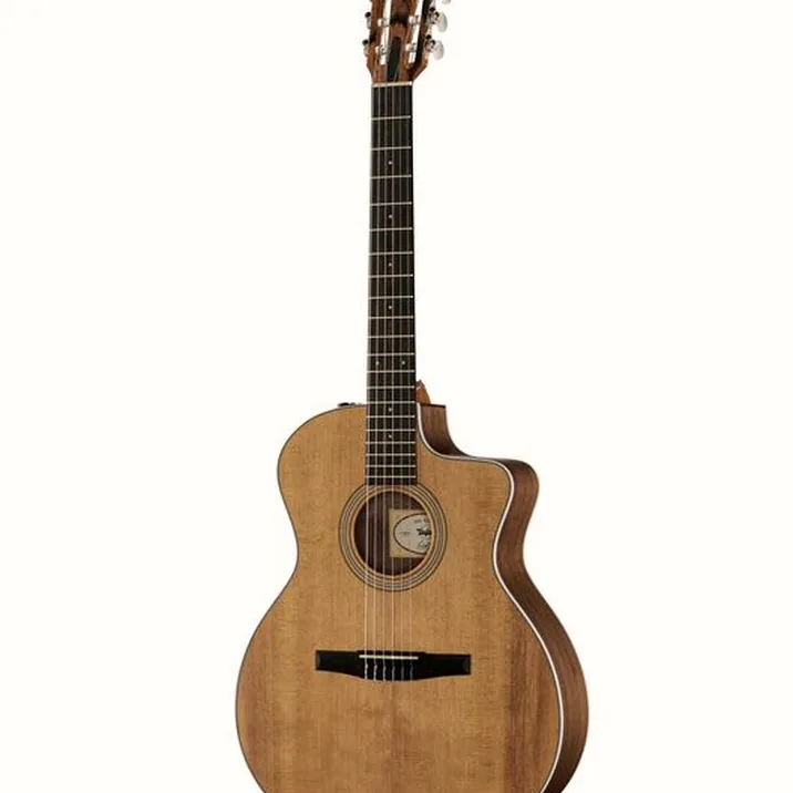 Taylor 214ce-N Spruce/Walnut