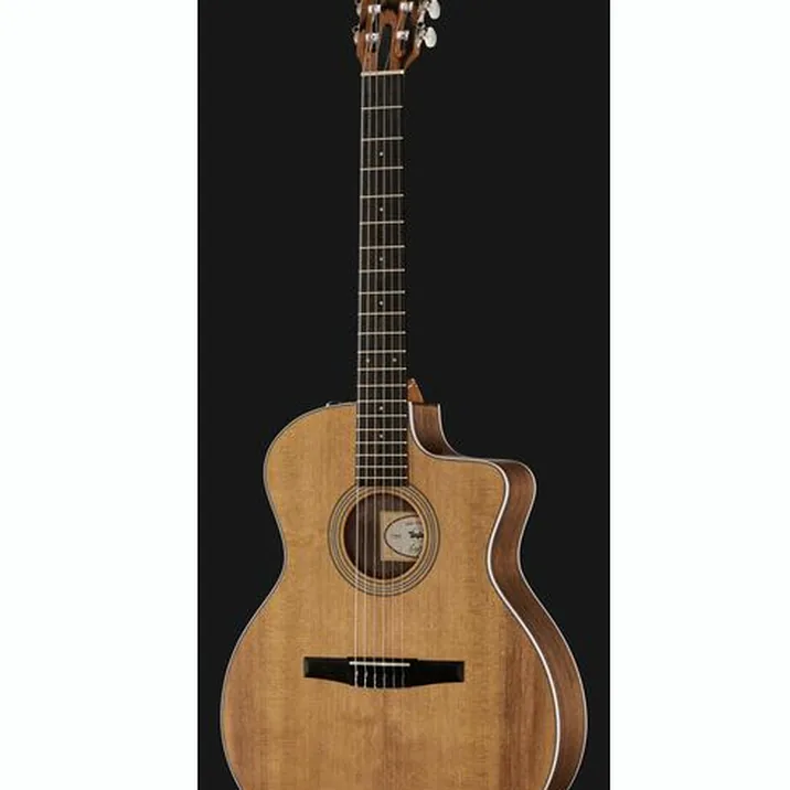 Taylor 214ce-N Spruce/Walnut
