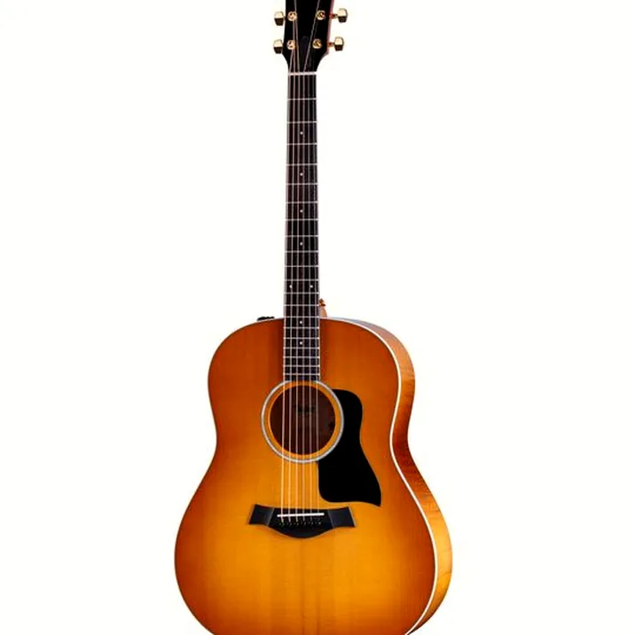 Taylor 217e Plus Special Edition HB