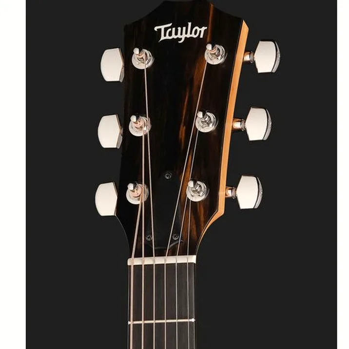 Taylor 217e-SB Plus