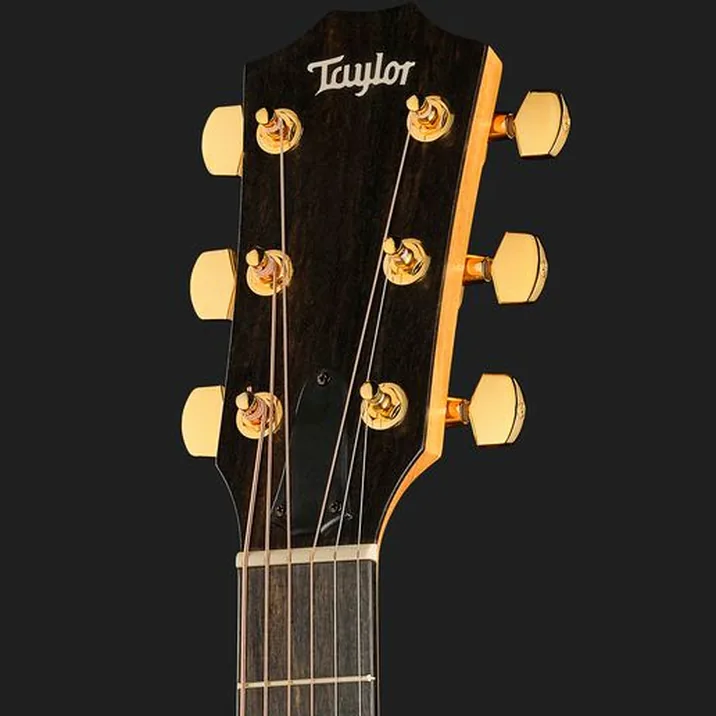 Taylor 222ce-K DLX