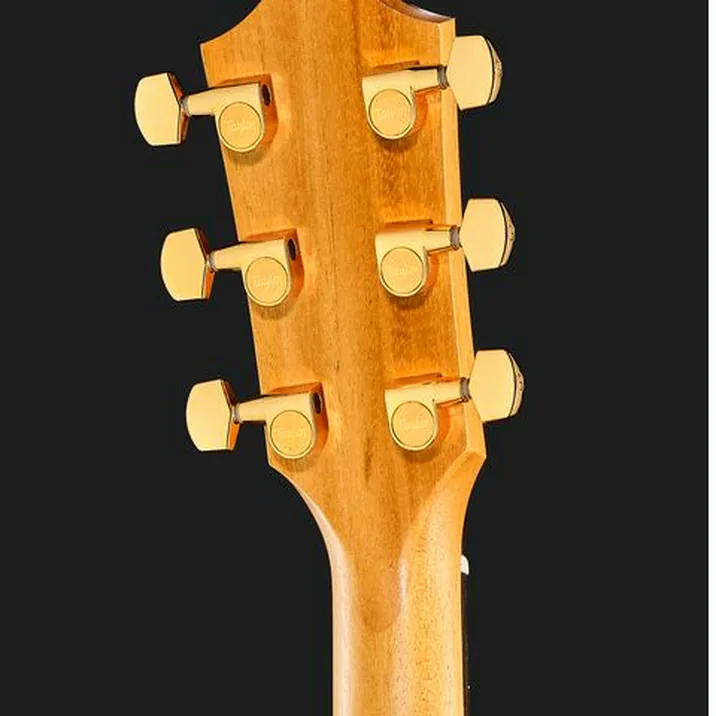 Taylor 222ce-K DLX