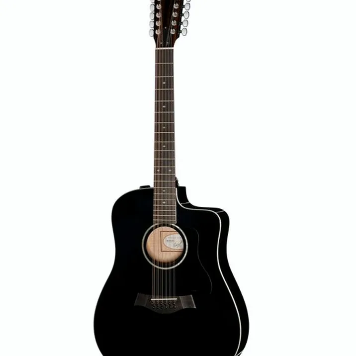 Taylor 250ce-BLK DLX