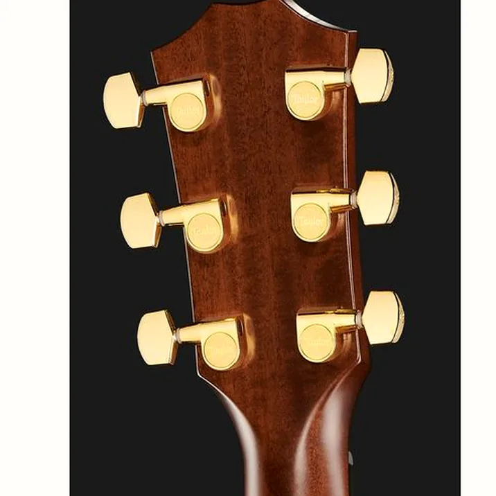 Taylor 312ce 50th Anniversary