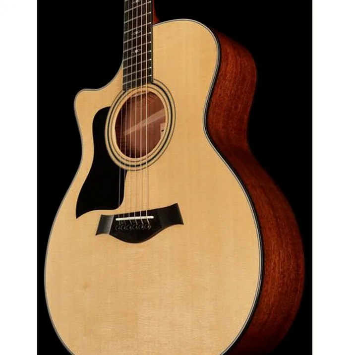Taylor 314Ce Lh V Class Bracing