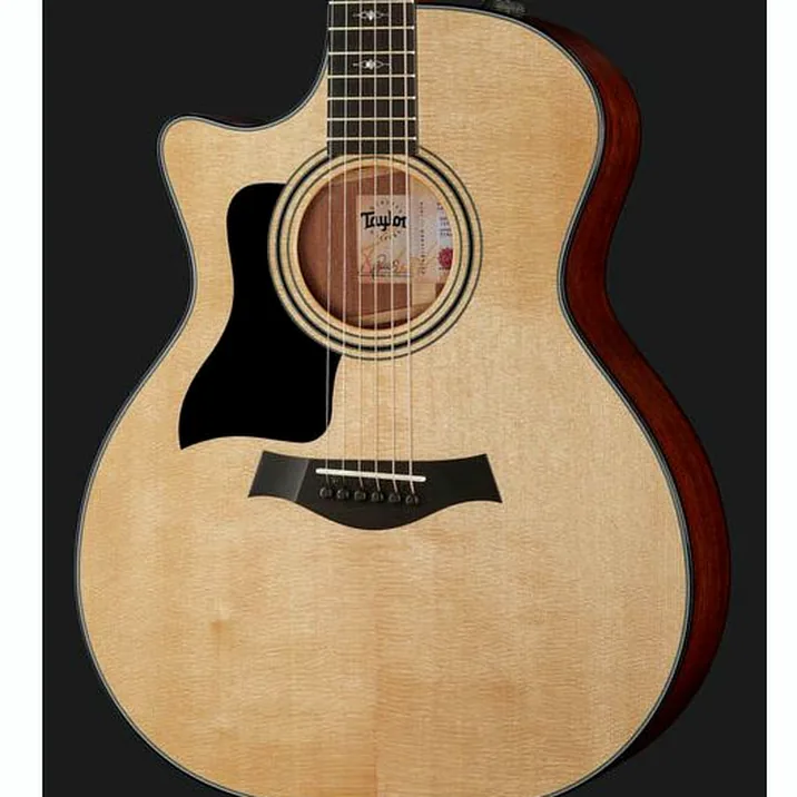 Taylor 314Ce Lh V Class Bracing