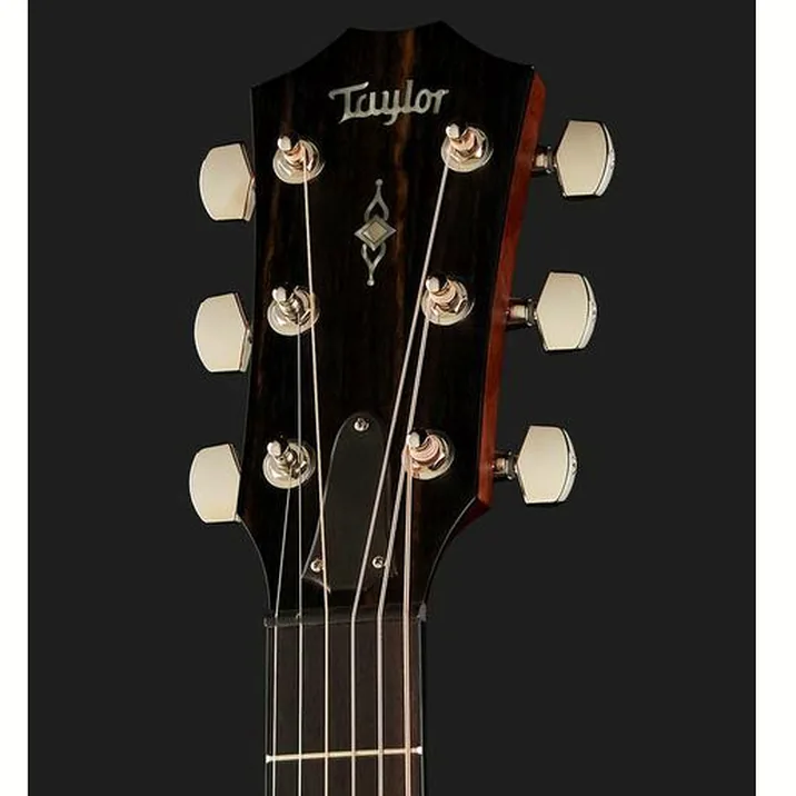 Taylor 314Ce Lh V Class Bracing