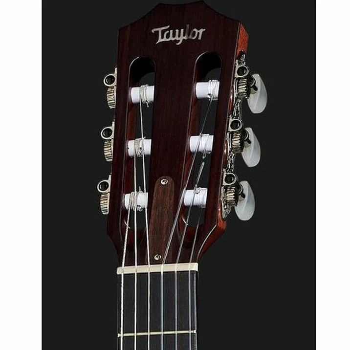 Taylor 314Ce N