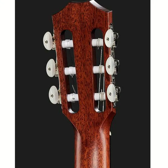 Taylor 314Ce N