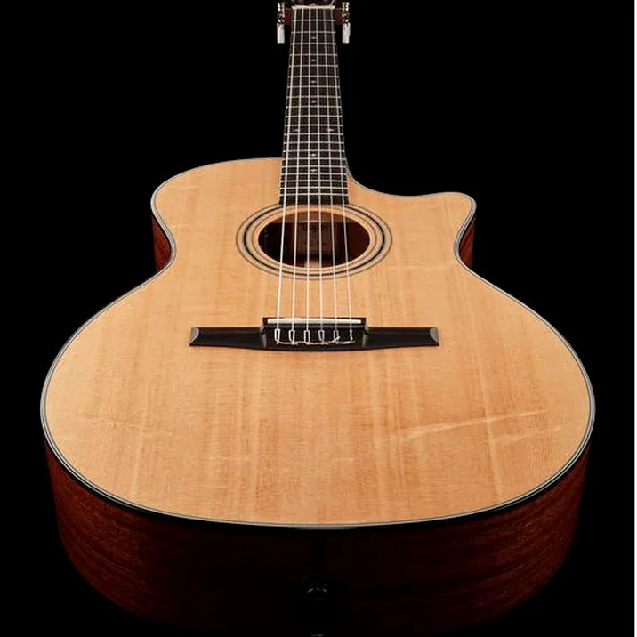 Taylor 314Ce N