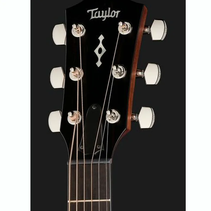 Taylor 314ce Next Generation