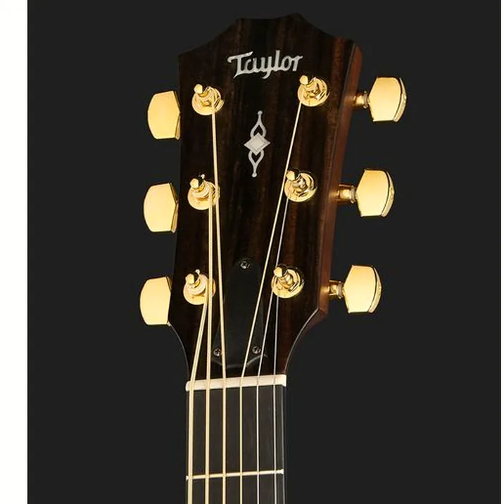 Taylor 316ce Baritone LTD 50th Anniv