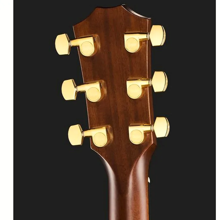 Taylor 316ce Baritone LTD 50th Anniv