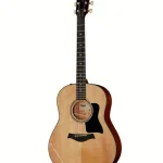 La verdad sobre la Taylor 317e V-Class : Análisis sin filtros