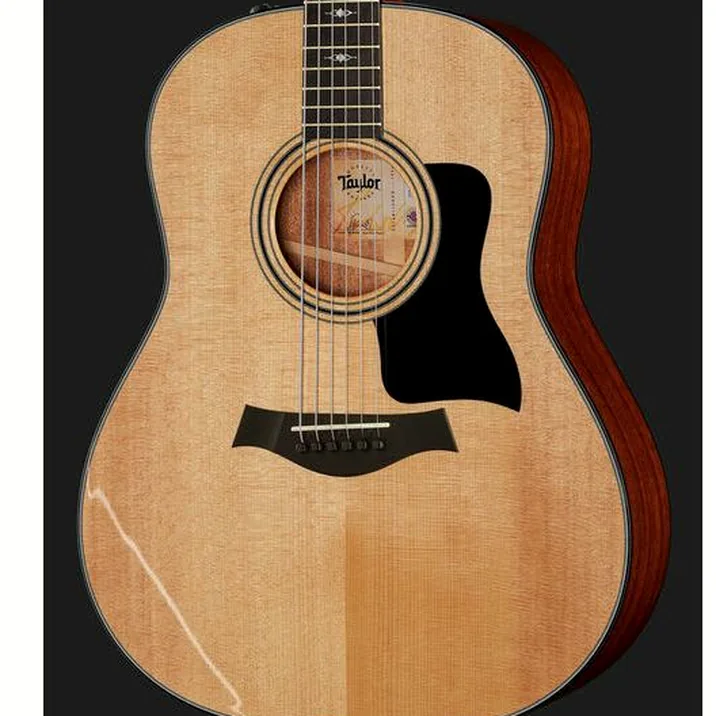 Taylor 317e V-Class