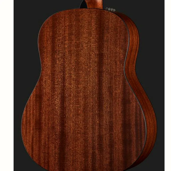 Taylor 317e V-Class