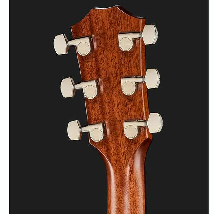 Taylor 317e V-Class