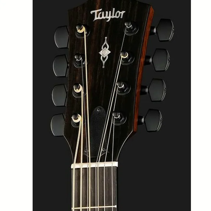 Taylor 324ce Baritone-8-LTD