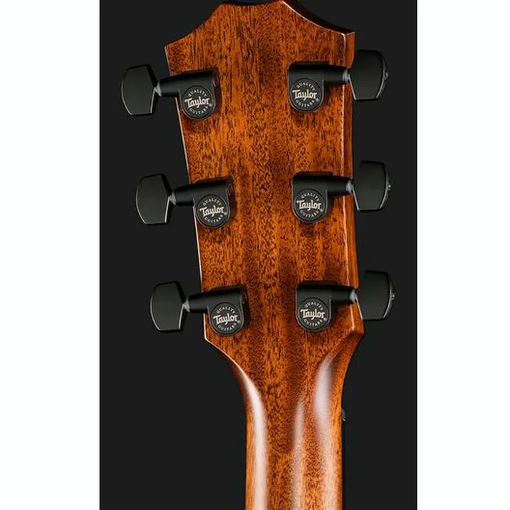 Taylor 324ce Mahogany SEB