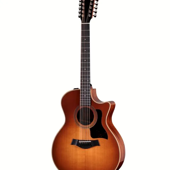Taylor 354ce Studio Special Edition H
