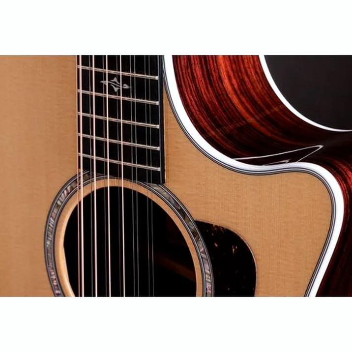 Taylor 454ce