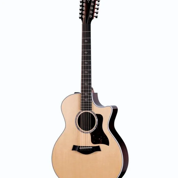 Taylor 454ce