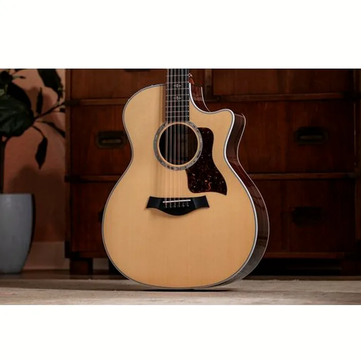 Taylor 454ce
