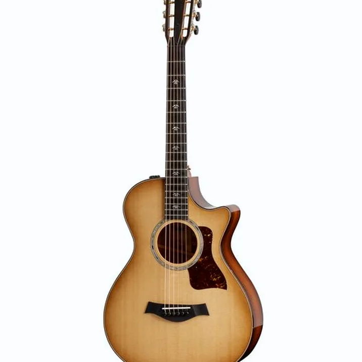 Taylor 512ce 12-Fret Urban Ironbark