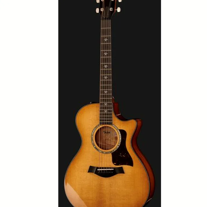 Taylor 512ce Urban Ironbark