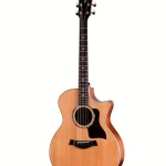Taylor 514ce Next Generation : Opiniones y Análisis a fondo (2026)