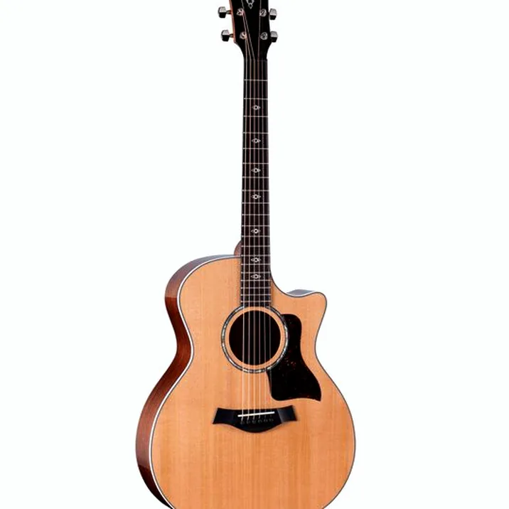 Taylor 514ce Next Generation